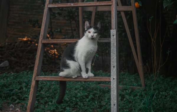 Revitalize Your Immunity: Game-Changing Tips to Transform Your Health